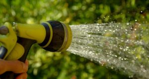 hydrozasiew