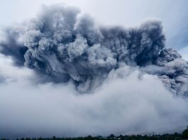 Czy można kupić proch bezdymny?