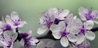 Jaka średnica otworu pod słupki ogrodzeniowe?