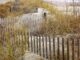 Ile trzeba odsunąć się od granicy z ogrodzeniem? Ile trzeba odsunąć się od granicy z ogrodzeniem?