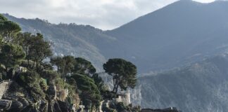 Ile kosztuje PUFA Workowa?