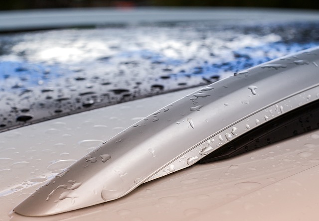 Co można zamontować na relingi? Co można zamontować na relingi?