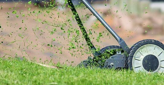 Ile kosztuje robot do koszenia trawy Husqvarna?