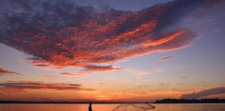 Ile kosztuje 100 metrów siatki?