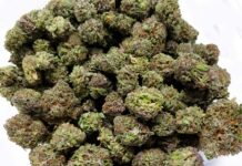 Czy można kupić kulki styropianowe? Czy można kupić kulki styropianowe?