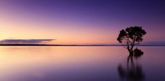 Jak spuścić wodę w toalecie gdy nie ma wody?