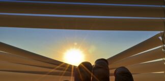 Ile kosztują rolety wewnętrzne na wymiar?