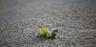 Jak usunąć smołę z rąk?