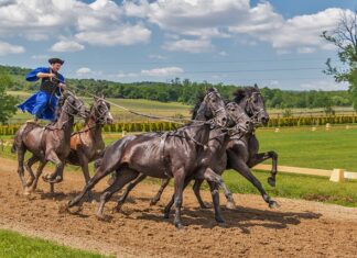 Na czym polega cięcie metali nożycami?