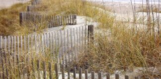 Jak zrobić ładne ogrodzenie?