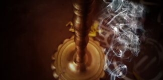 Ile kosztują roboty do koszenia trawy?