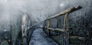 Jak zrobić mostek w gniazdku?