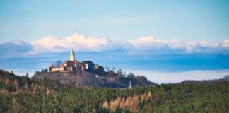 Czy lit jest dobrym reduktorem?