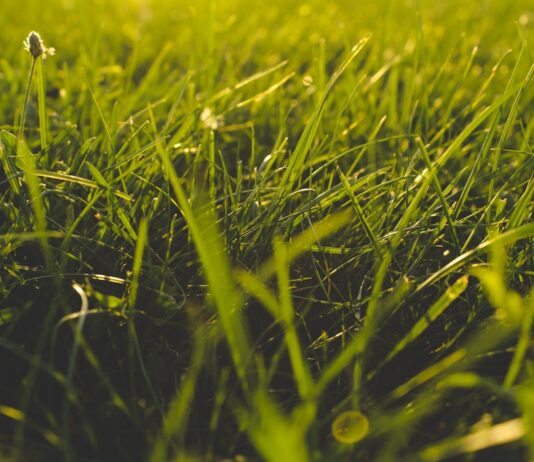 Jak usunąć plamy z trawy i błota z ubrań